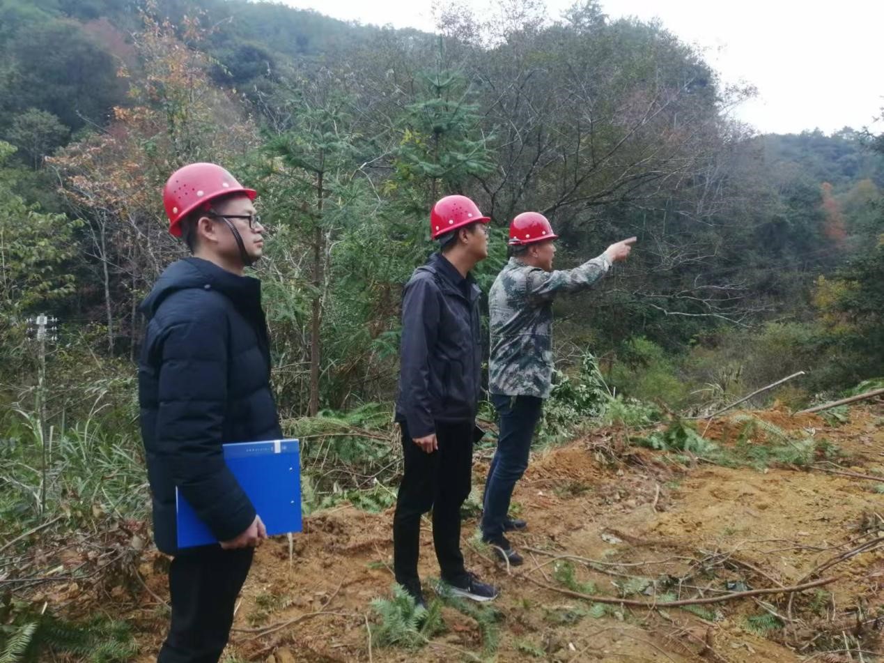 全面強化安全責任，嚴守森林防火線——福建金森全力保障生產(chǎn)安全