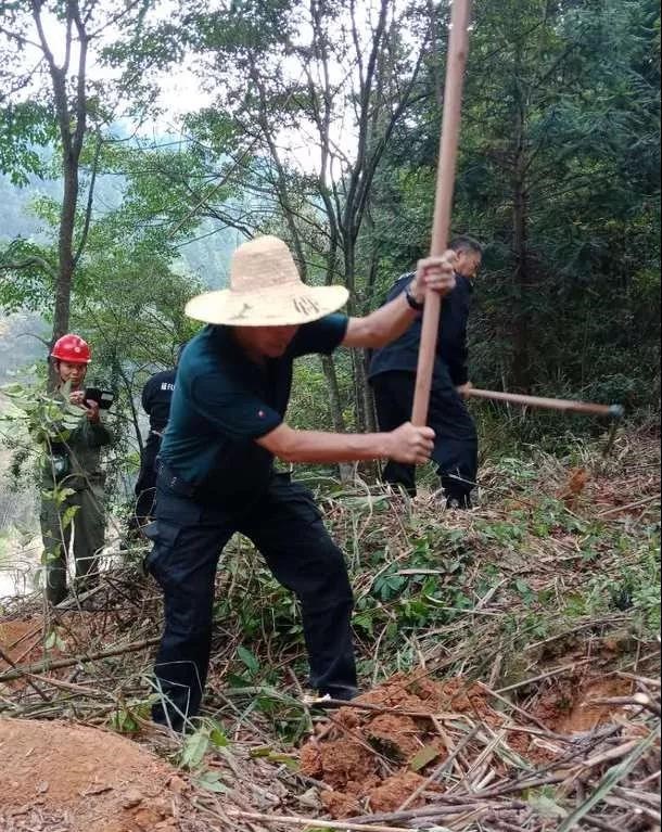 干好每一天|青山掛白我復(fù)綠，無私奉獻金森人——資源保護部義務(wù)突擊隊工作記實