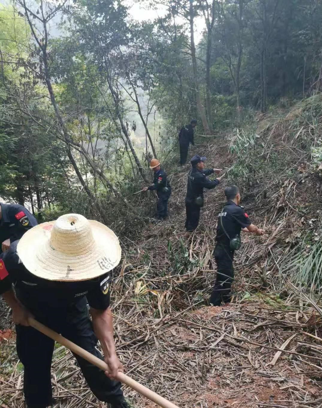 干好每一天|青山掛白我復(fù)綠，無私奉獻金森人——資源保護部義務(wù)突擊隊工作記實