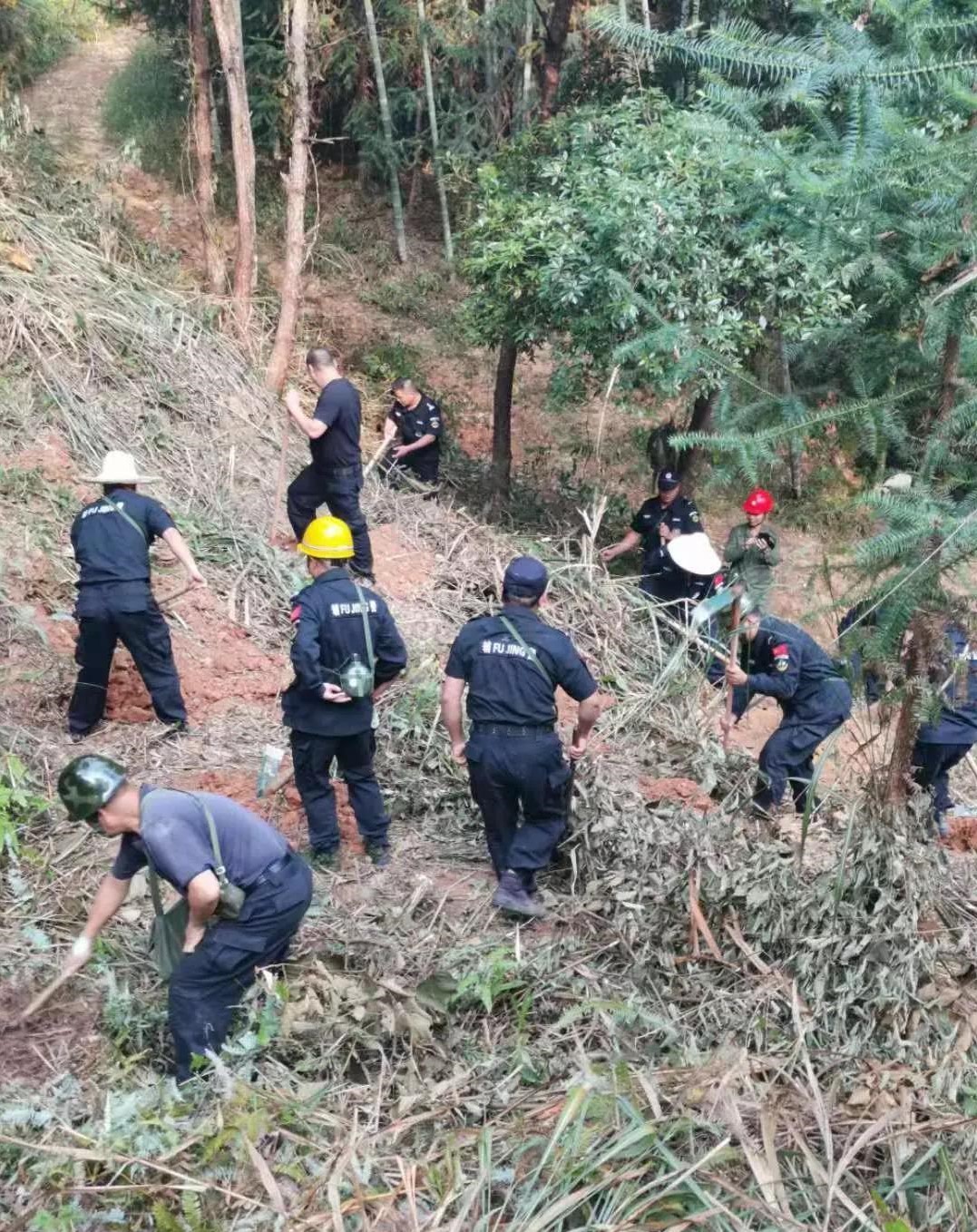 干好每一天|青山掛白我復(fù)綠，無私奉獻金森人——資源保護部義務(wù)突擊隊工作記實