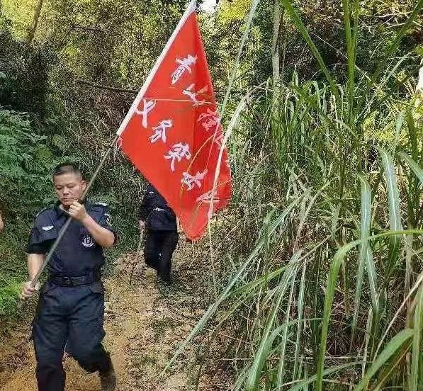 干好每一天|青山掛白我復(fù)綠，無私奉獻金森人——資源保護部義務(wù)突擊隊工作記實